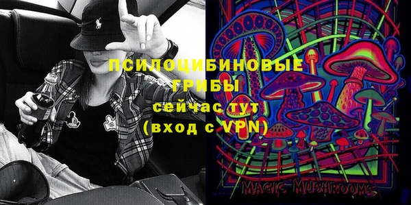 индика Алзамай