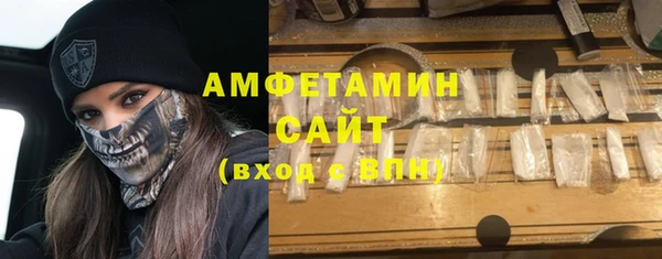 индика Алзамай