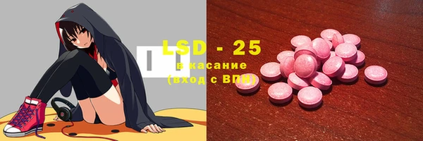 индика Алзамай