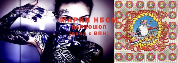 индика Алзамай