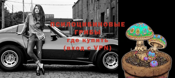 индика Алзамай