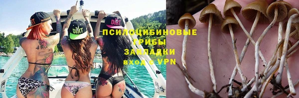 амфетамин Алексин